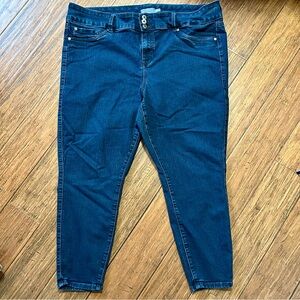 Torrid Super Stretch Jeggings, 24